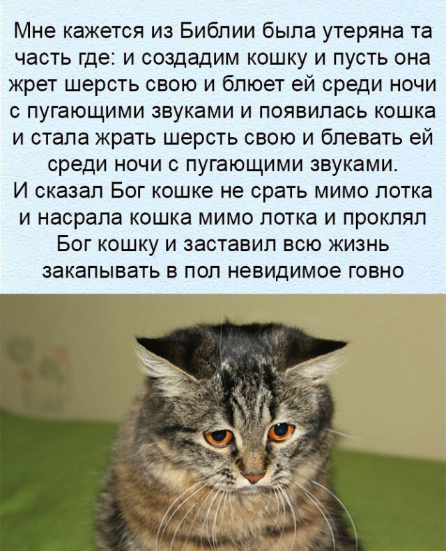 И было так