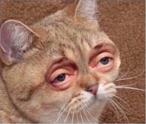 Среды картинки