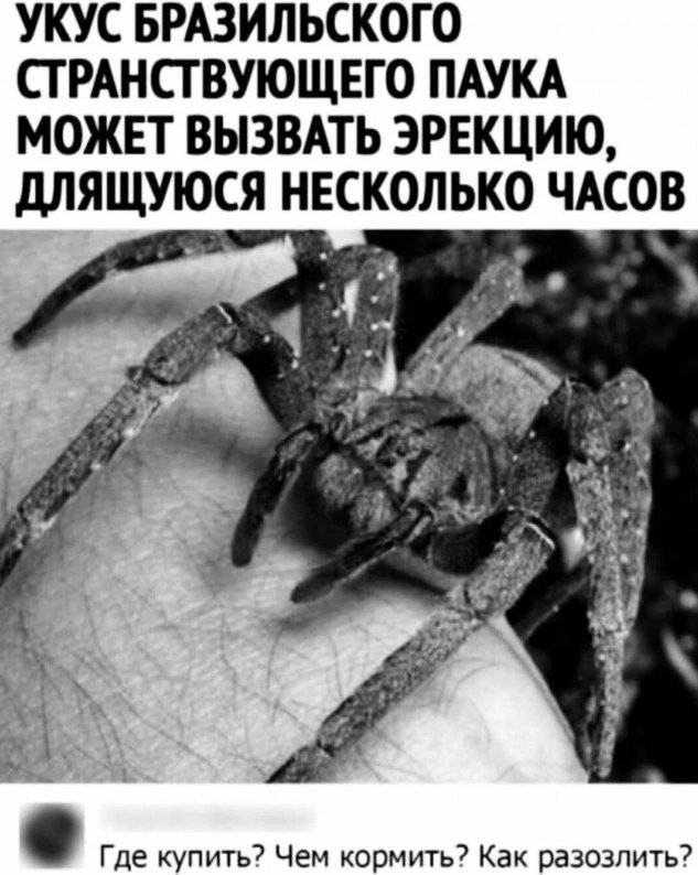 Картинки для деградации 177 (разной степени свежести)