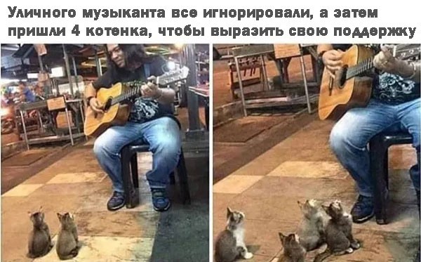 К котовторнику: подборка картинок-баянов с котиками и про котиков. Выпуск 42.