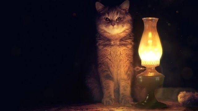 Про "зажравшуюся эгоистку"