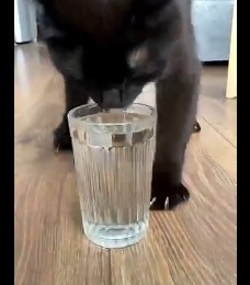 Через этот ужас прошли все!
