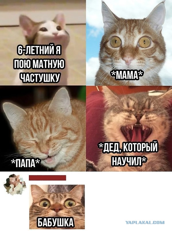 Первый мат в жизни