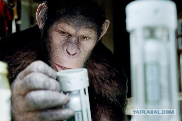 В Грозном офисы Билайна и Мегафона закидали яйцами