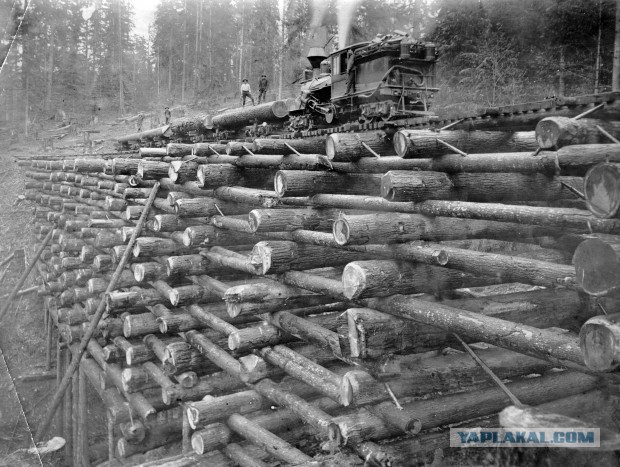 Ж/д мосты из брёвен (1901-1908 гг)