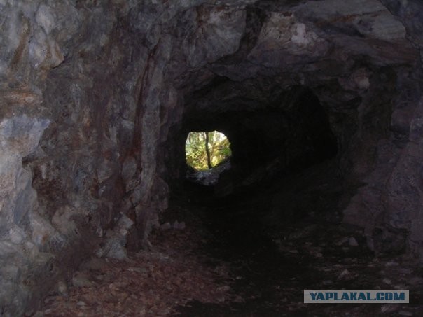 Как анекдот жизнь спас