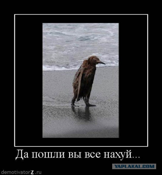 Для хунты денег нет, в ЕС не примем, предлагаем НА