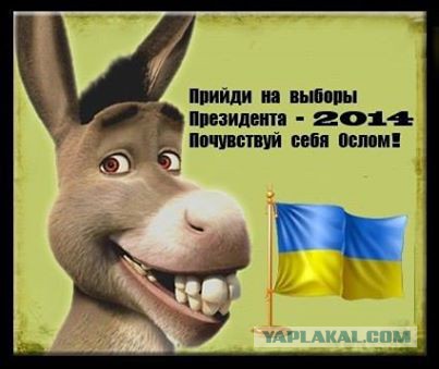 Выборы в Украине. Самые честные!