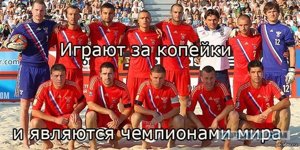 Собака предсказатель