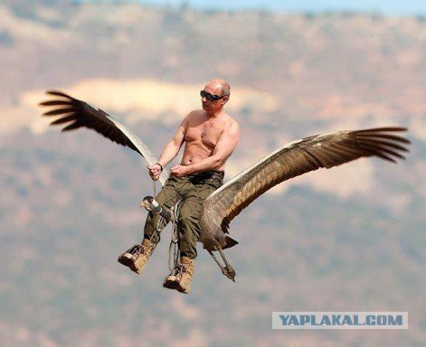 Украина готова доказать причастность России