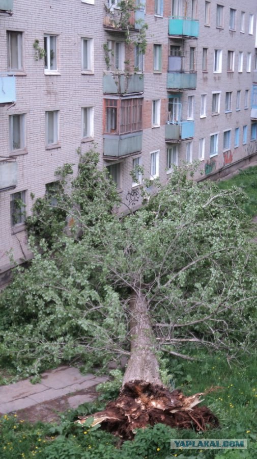 Вид из вашего окна