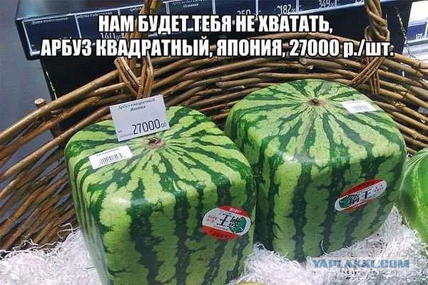 Что потеряем конкретно мы, ЯПовцы от санкций?