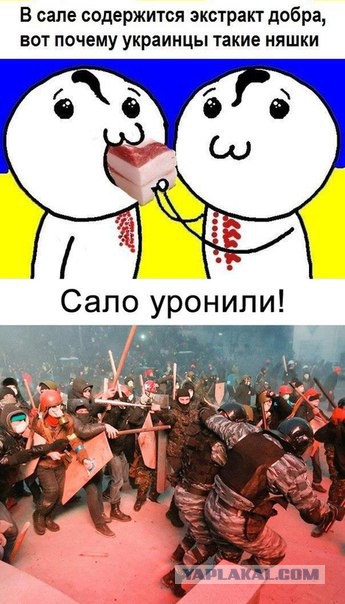 Забавные картинки из Сети