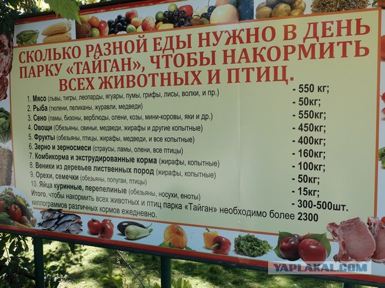 Парк львов Тайган, Крым