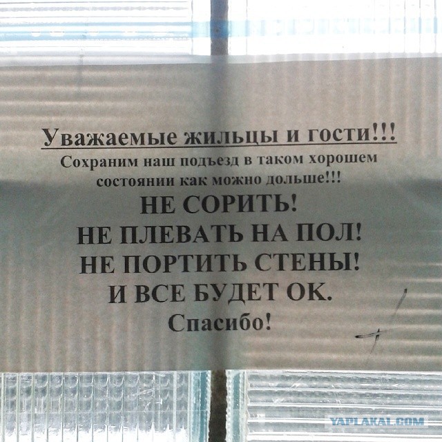 Прикольные картинки