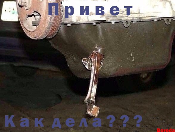 Очередные картинки на субботу