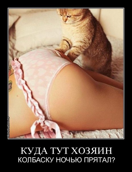 Приколы из сети