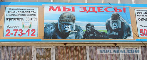 Забавный Казахстан.