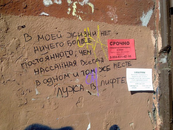 Ужасы и приколы из соцсетей 18+