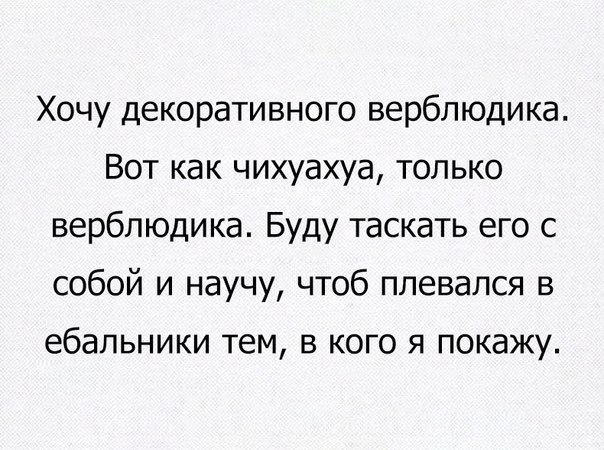 Смешные комментарии из социальных сетей 03.06.2016