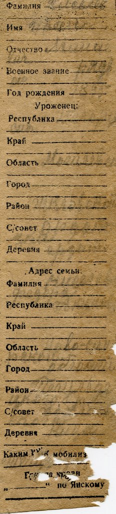 Эхо войны. Убит под Ржевом. Жизнь и судьба русского солдата Ивана Киселева