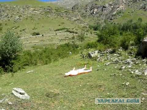 Ищу красавицу с ЯП!