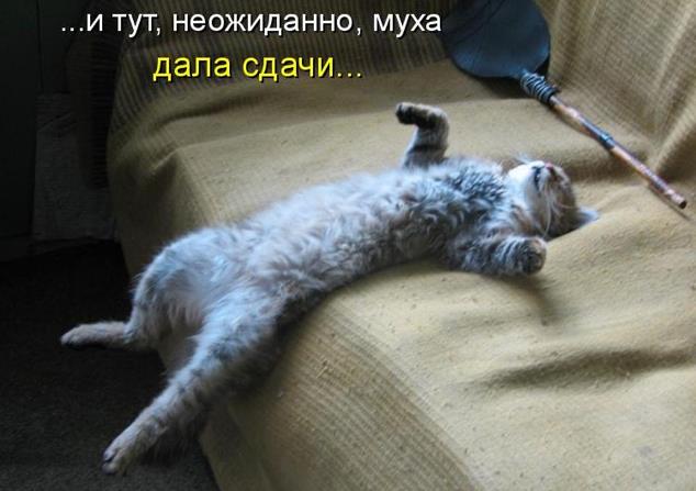 Кыся спииит, Кыся хороооший...
