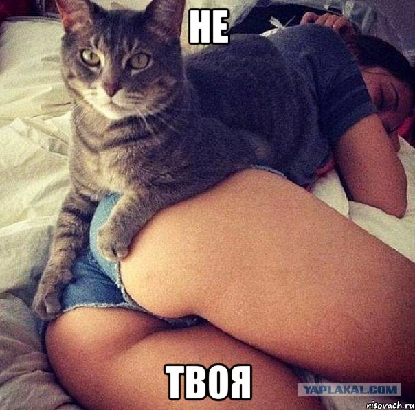 Девушки: вид со спины