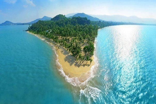 Моменты, запечатлённые на фото и просто позитив 5