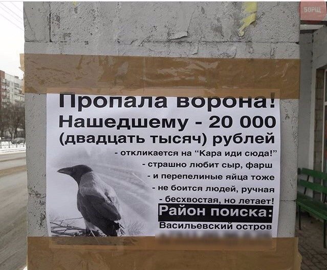 Набористый набор картинок