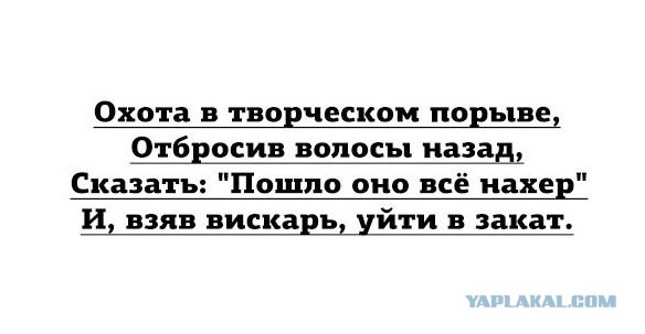 20 саркастичных открыток о жизни