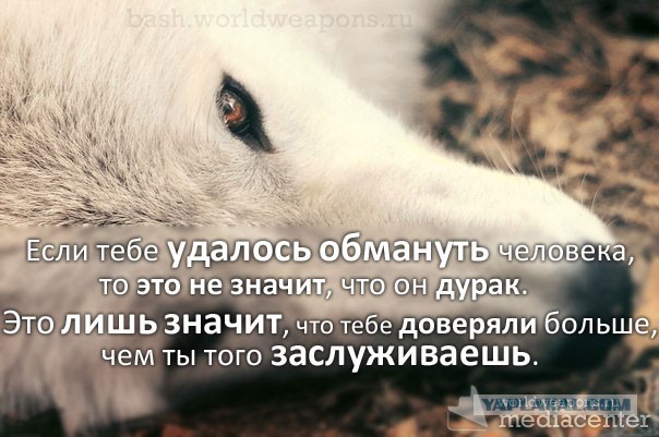 Мужская паранойя и женское коварство