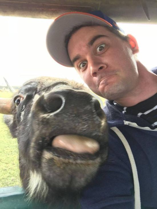 Подборка интересных и веселых картинок