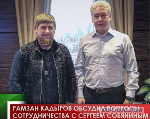 Про Москвичей