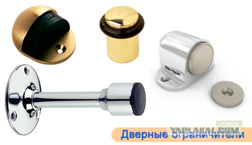 Бешенство Начальника ГИБДД из Мурманска: причины, лечение