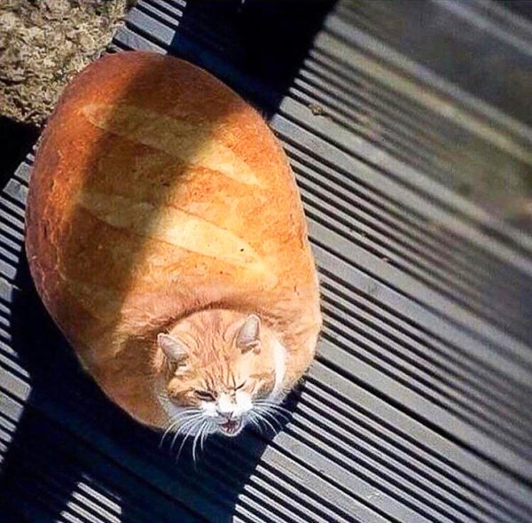 20 человек, которых нужно навсегда отстранить от фотошопа