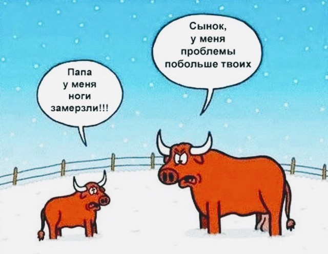 Немного странных картинок в этот четверг