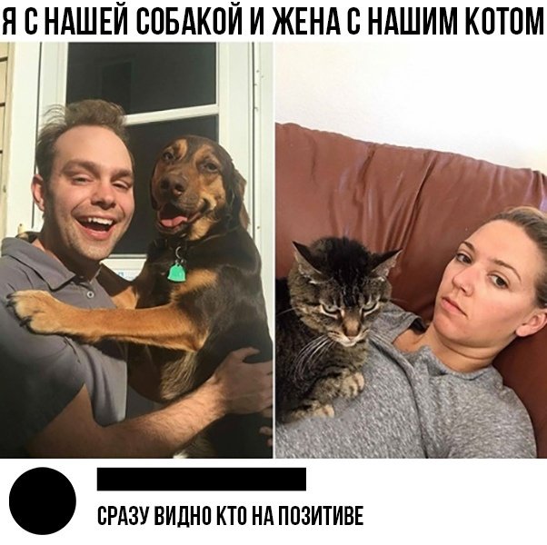 Нестандартный юмор