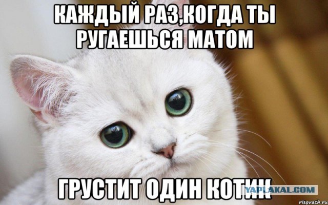 Пост о том, как я кухню запилил