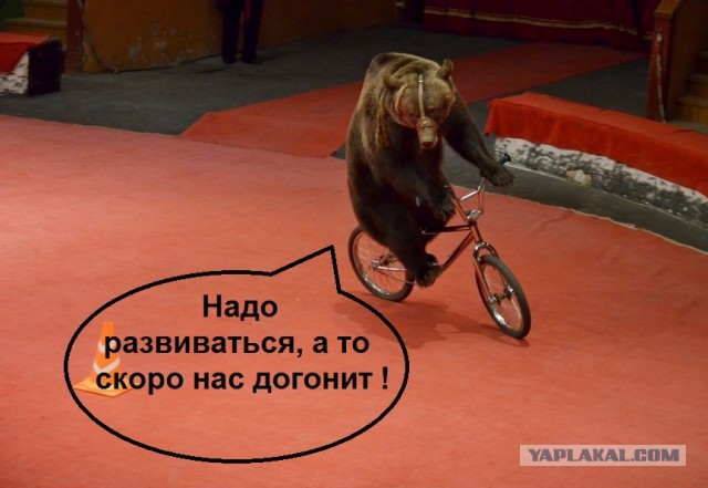 А барышня умеет и может кататься на велосипеде!