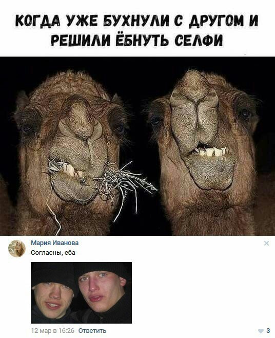 Подведём игоги