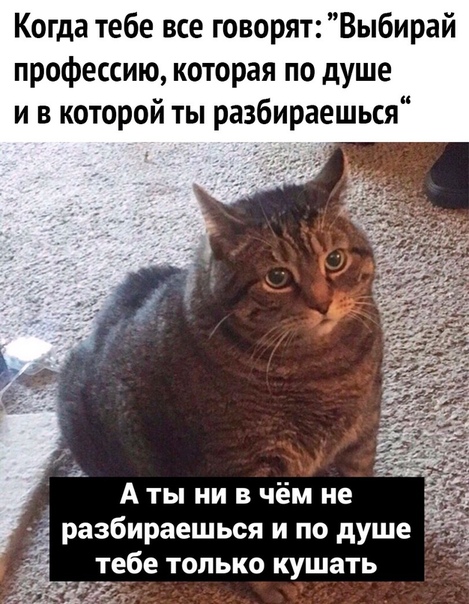Пара-пара-пам! Фьють