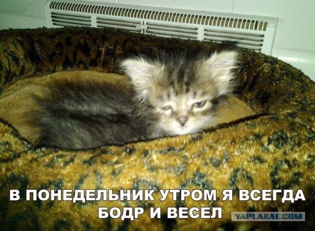 Так себе картинки 22.06.20