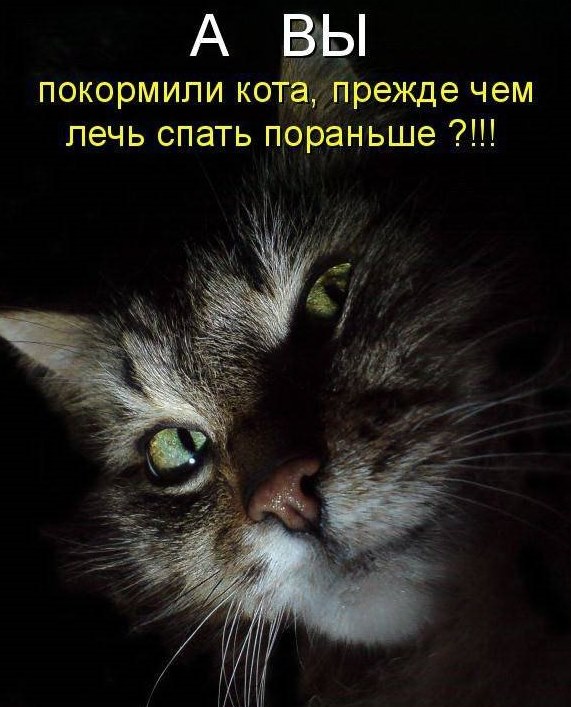 Мужчины перестали добиваться женщин. Объясняю, почему