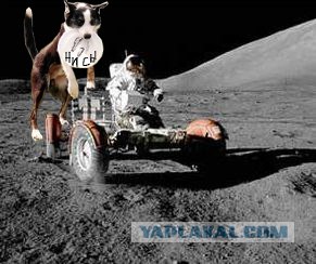 Пошёл на взлёт