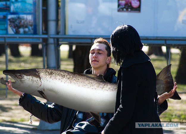 Медитация