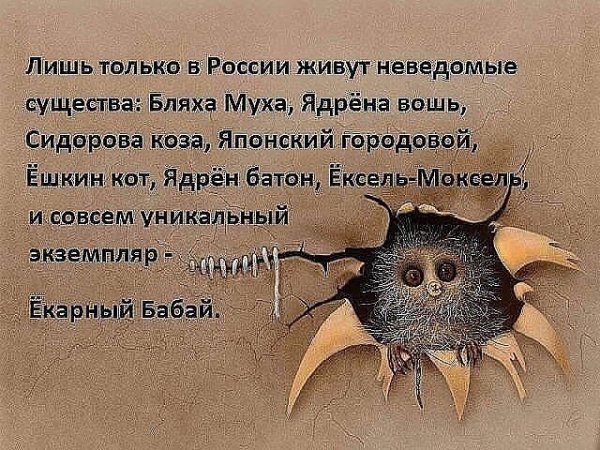 Прикольные и просто красивые картинки 10.11.2020
