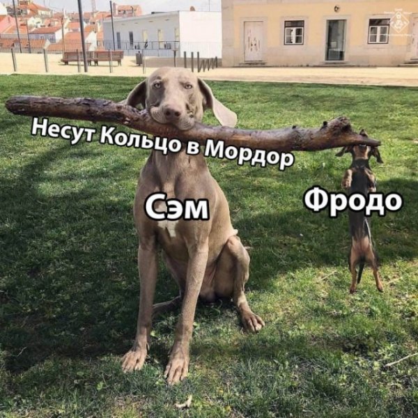Прикольные и просто красивые картинки 19.11.2020