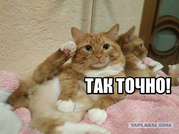 50 оттенков серого