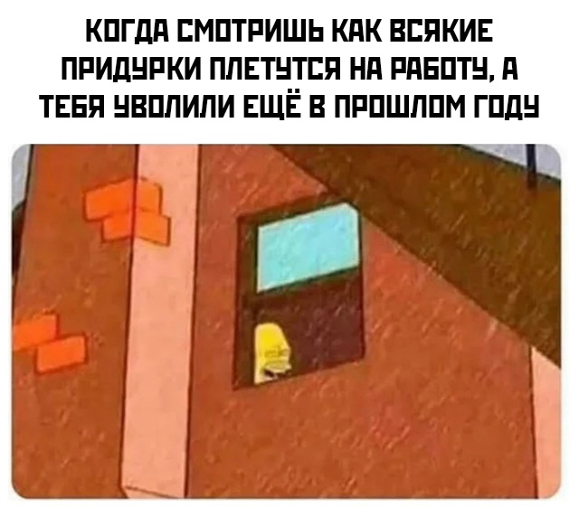 Кретинизмы из сети 11.01.2021